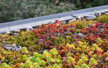 the cost of Frans Green green roof installation