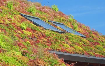 Frans Green living roof systems