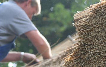 professional Frans Green thatchers